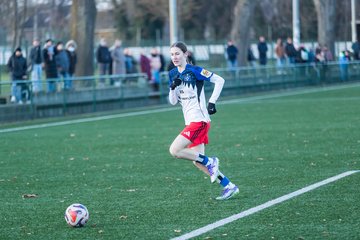 Bild 313 - wBJ Hamburger SV - Holstein Kiel : Ergebnis: 8:0